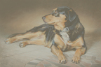 Roxy