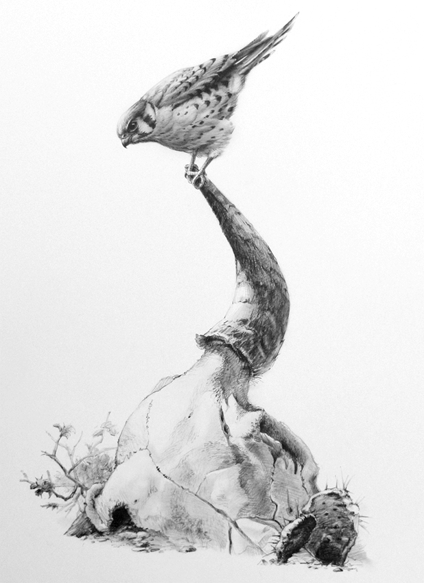 tucci - hunting around in the past