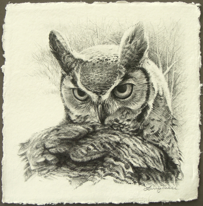 tucci - moonlight - great horned owl