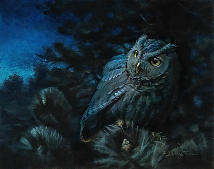 tucci - the color of night