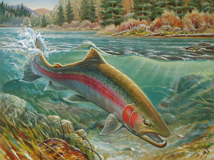 tucci - golden heron moment